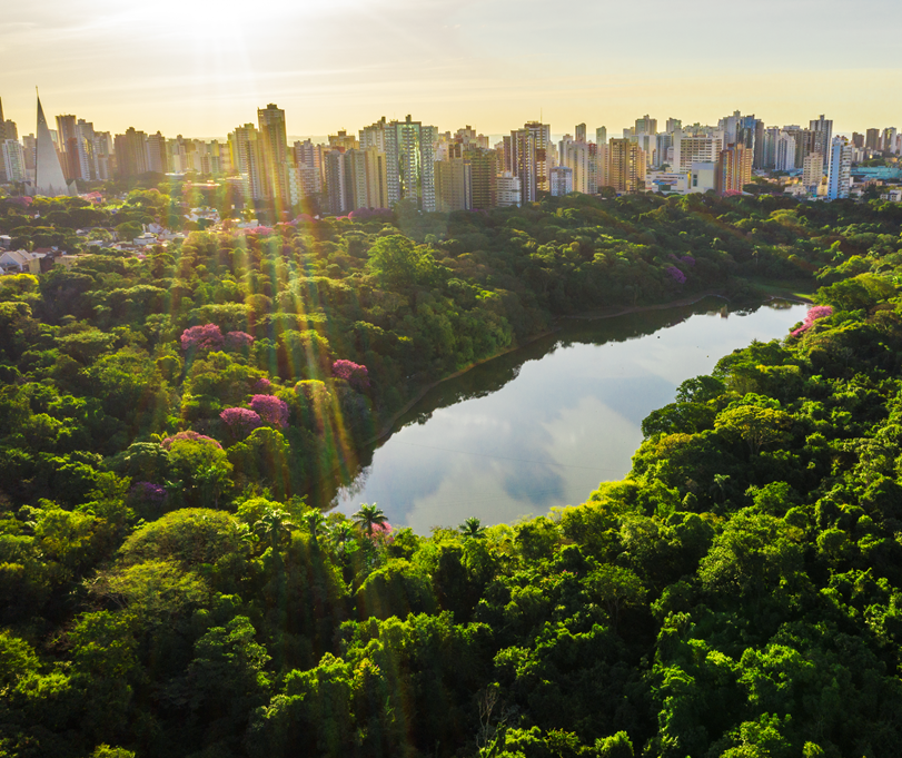 Com foco na preservação ambiental, Maringá terá passeio guiado pelo Parque do Ingá e observação de pássaros