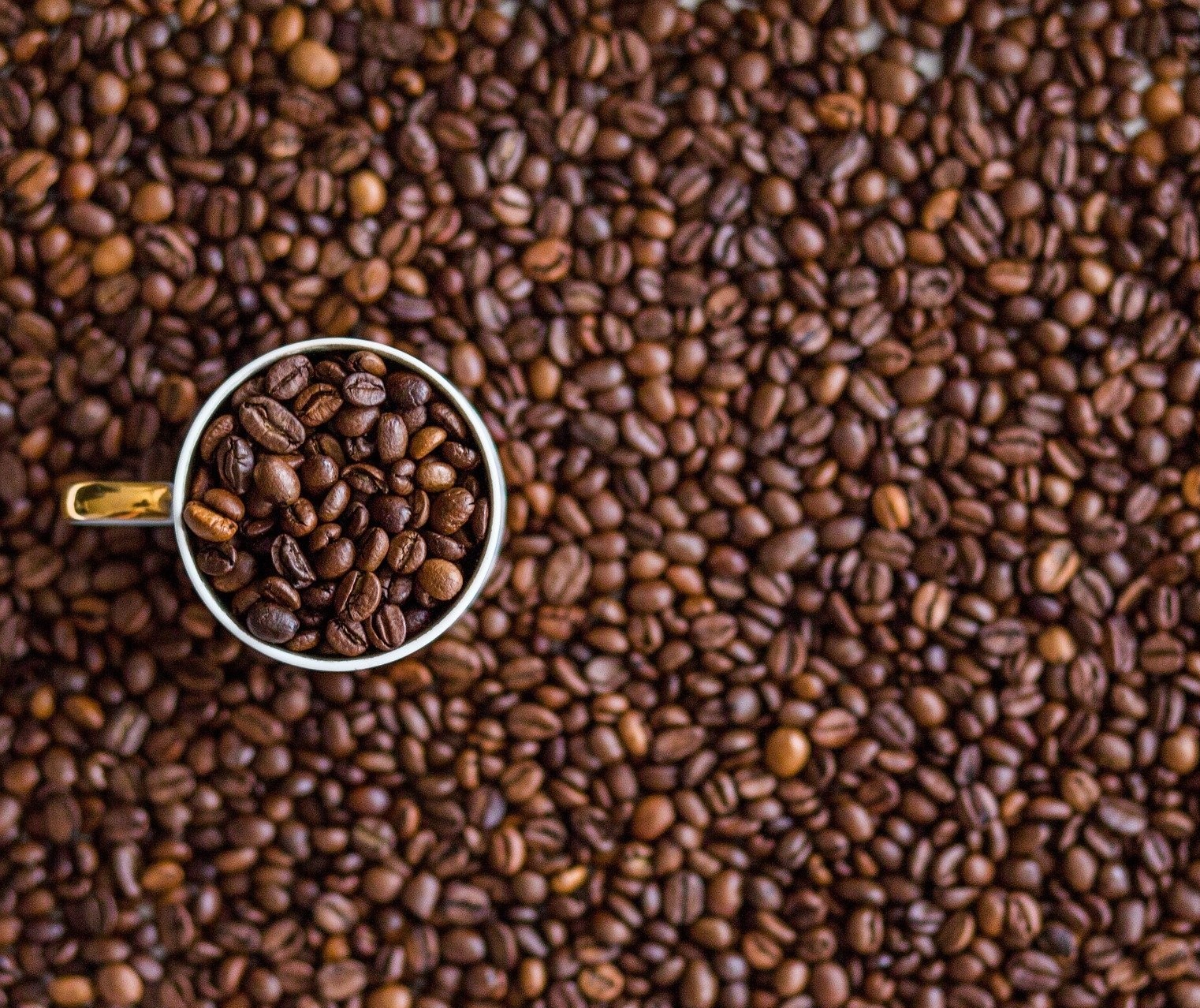 Café em coco custa R$ 8,40 Kg em Maringá