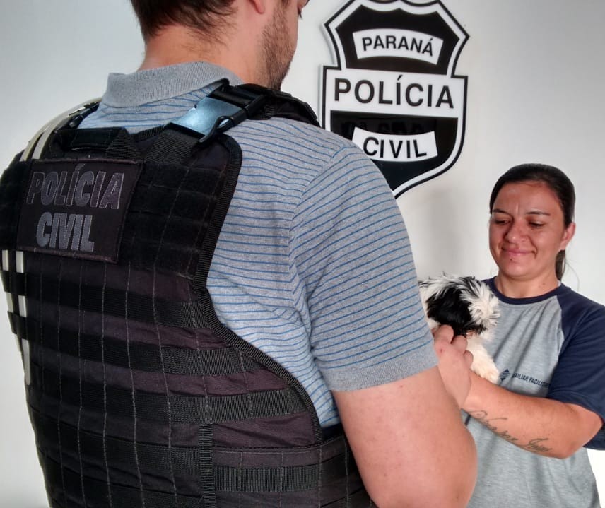 Jovem vai responder por furto de cachorro da raça shih tzu