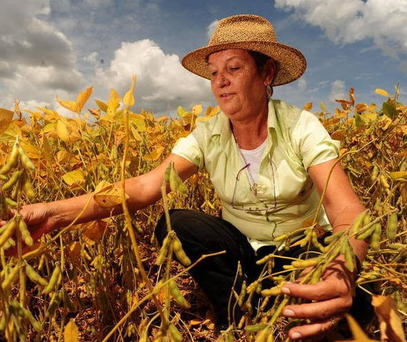 Protagonismo da mulher no agronegócio 