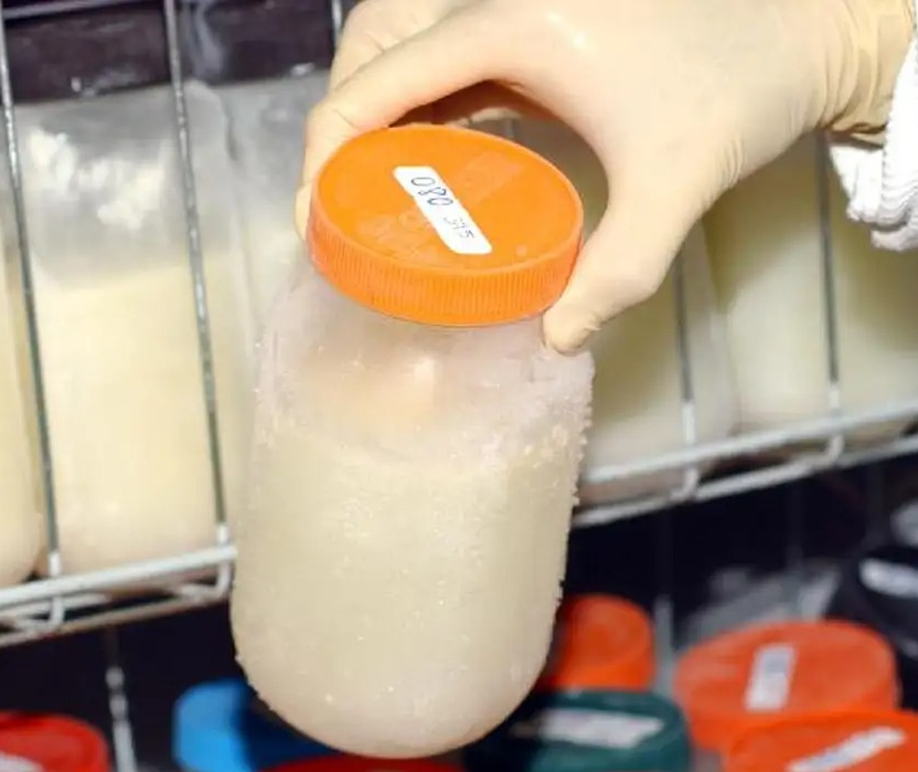 Leite materno é alimento ‘padrão ouro’ para bebês