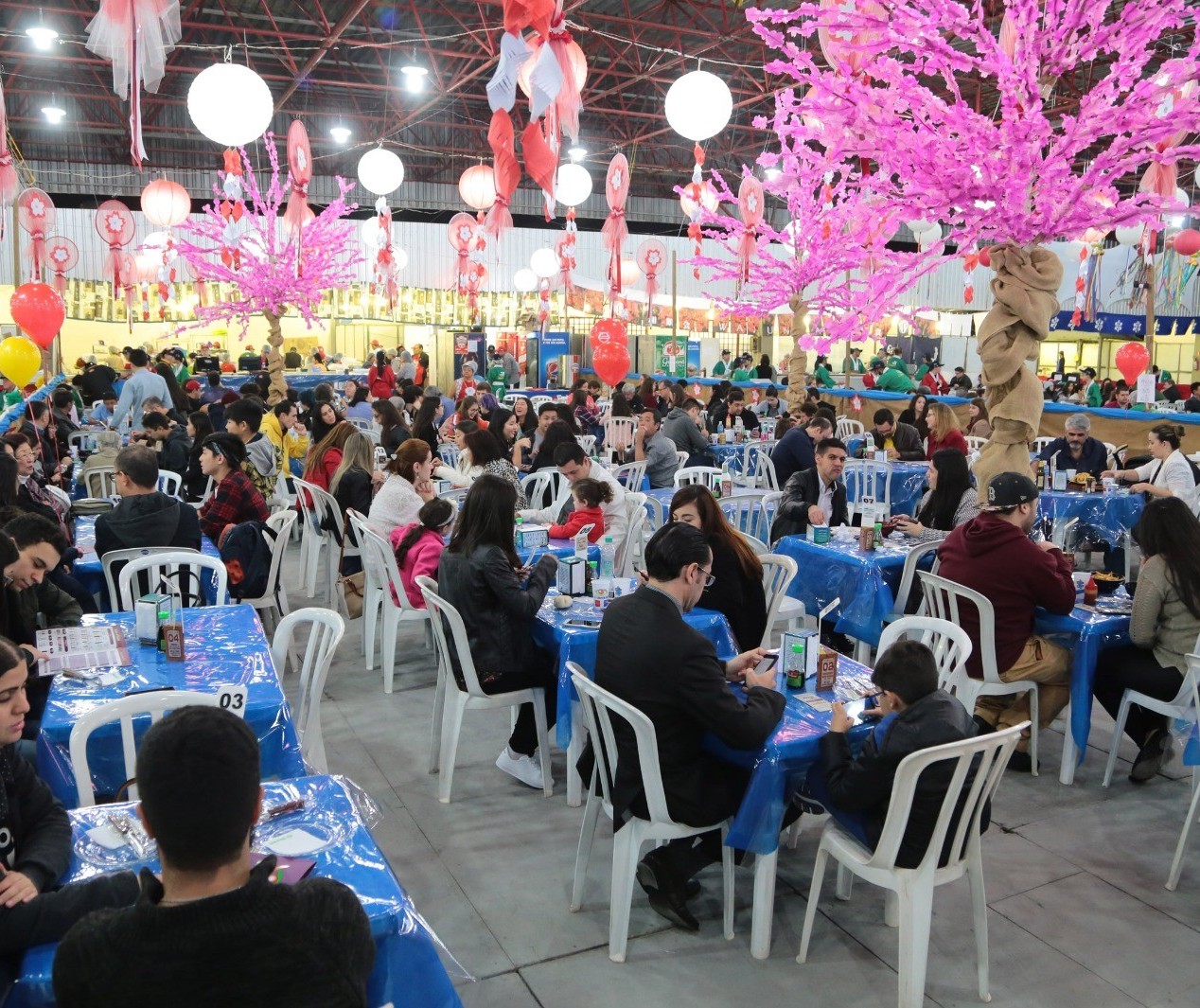 Festival Nipo-Brasileiro começa nesse sábado (5) celebrando tradições