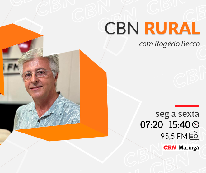 Ostras artesanais do Cabaraquara conquistam selo de procedência