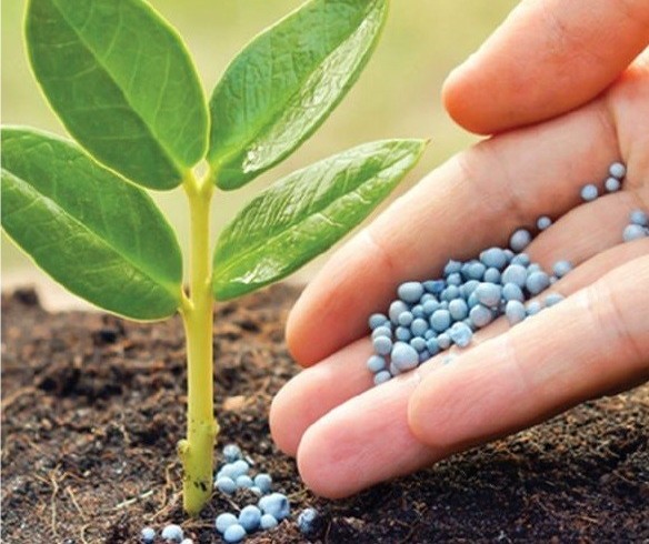 Vendas de insumos agropecuários crescem R$ 6 bilhões no Brasil