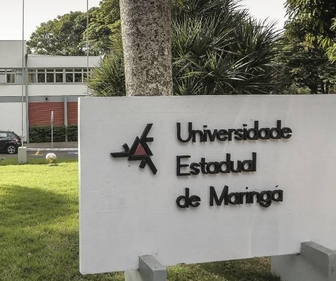 UEM recorre para não pagar multa por corte irregular de árvores