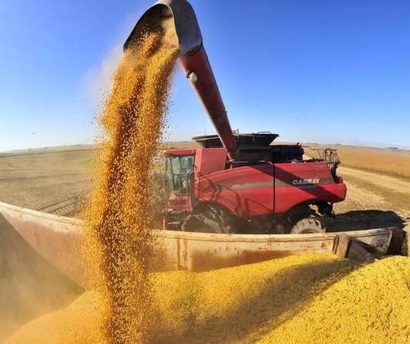 É importante escolher um representante agro na eleição