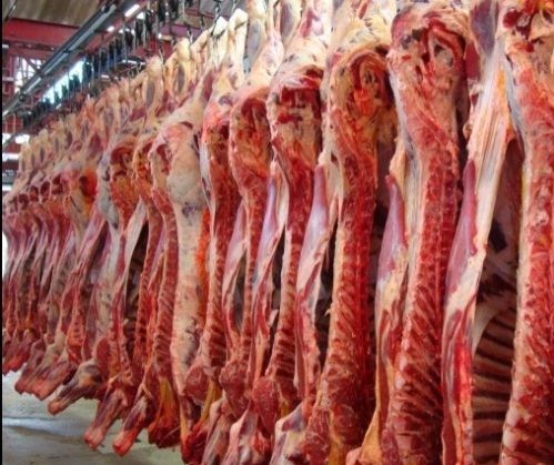 Exportações de carne em abril é 44% superior ao mesmo período de 2018