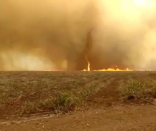 Incêndio fora de controle está destruindo plantações na região de Maringá