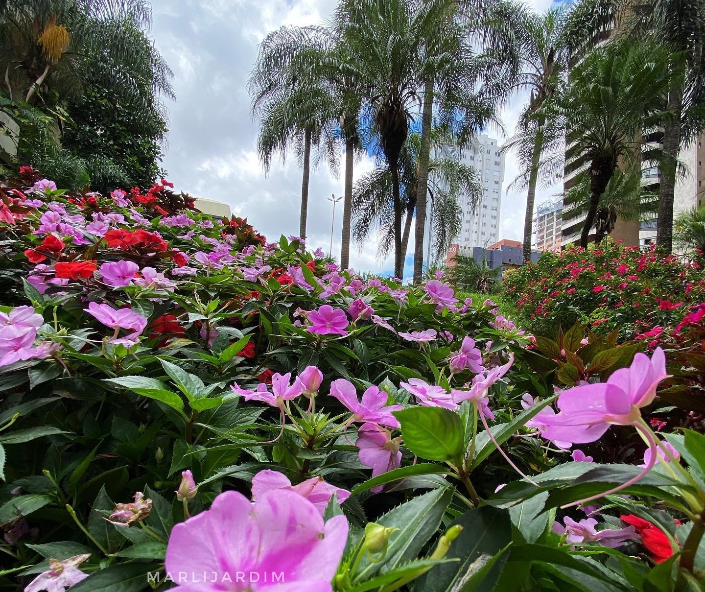 Terça-feira (11) de tempo estável e temperaturas elevadas em Maringá