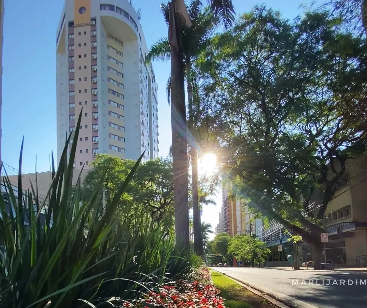 Com tempo ainda estável, Maringá tem máxima de 29°C neste sábado