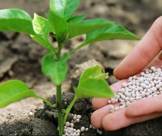 Importações brasileiras de fertilizantes cresceram 14,7% nos primeiros sete meses do ano