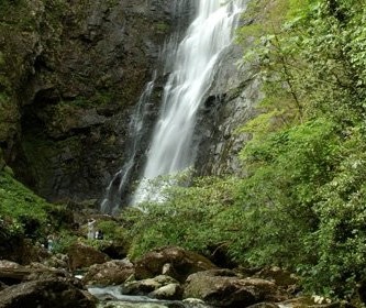 Paraná possui uma das reservas naturais de maior extensão do Brasil