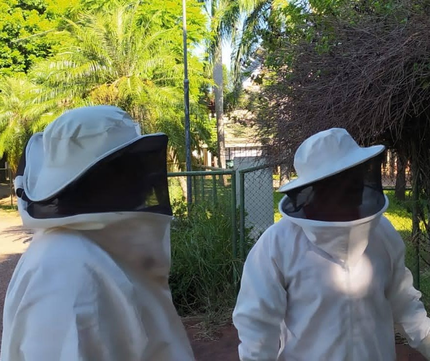 Homem é atacado por abelhas e tem reação alérgica generalizada