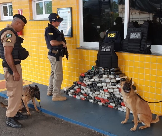 Com ajuda de cães farejadores, PRF apreende 158 Kg de cocaína