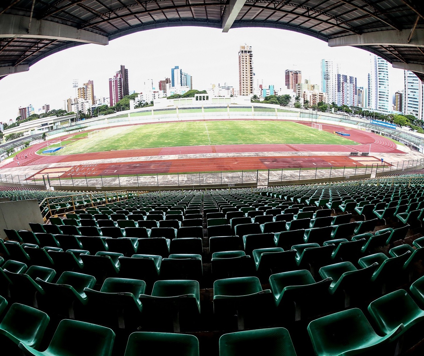 Maringá FC e Galo Maringá se enfrentam na estreia do Paranaense 2024