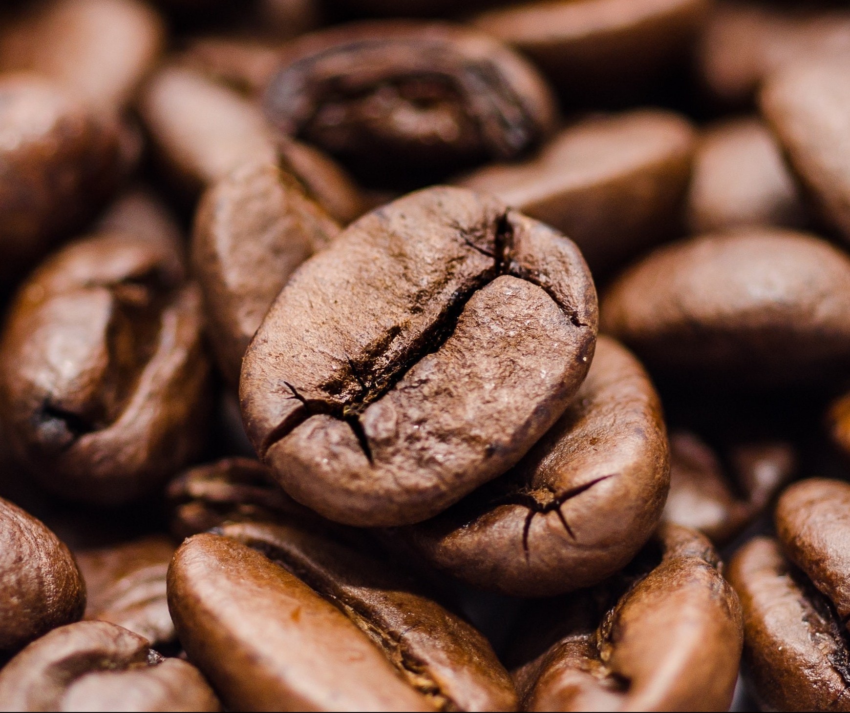 Café em coco custa R$ 7,33 o quilo em Maringá