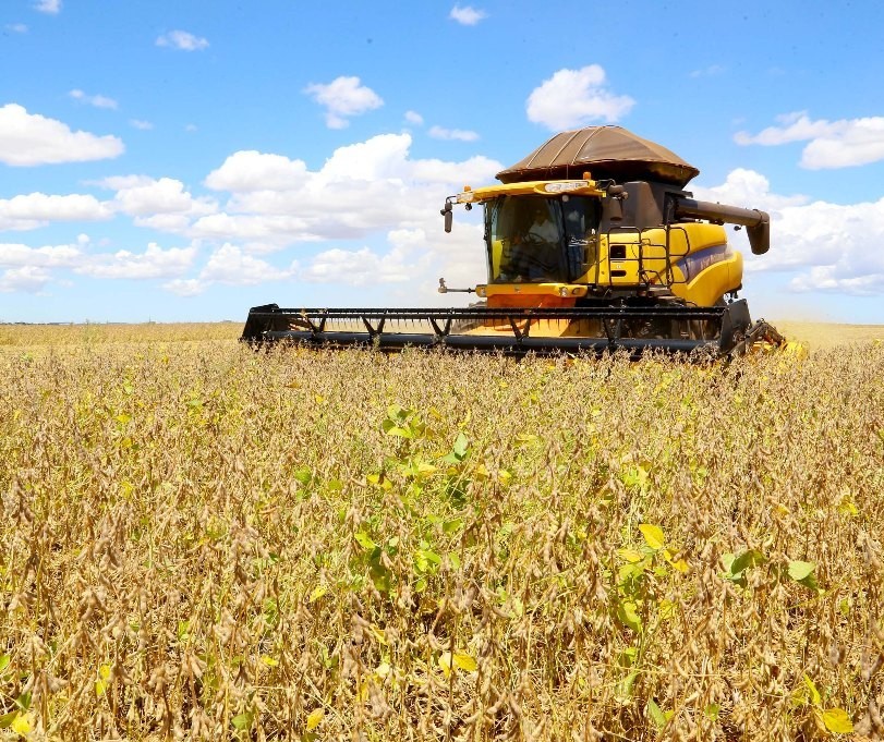 Seguro rural no pior momento da estiagem que castiga o Paraná