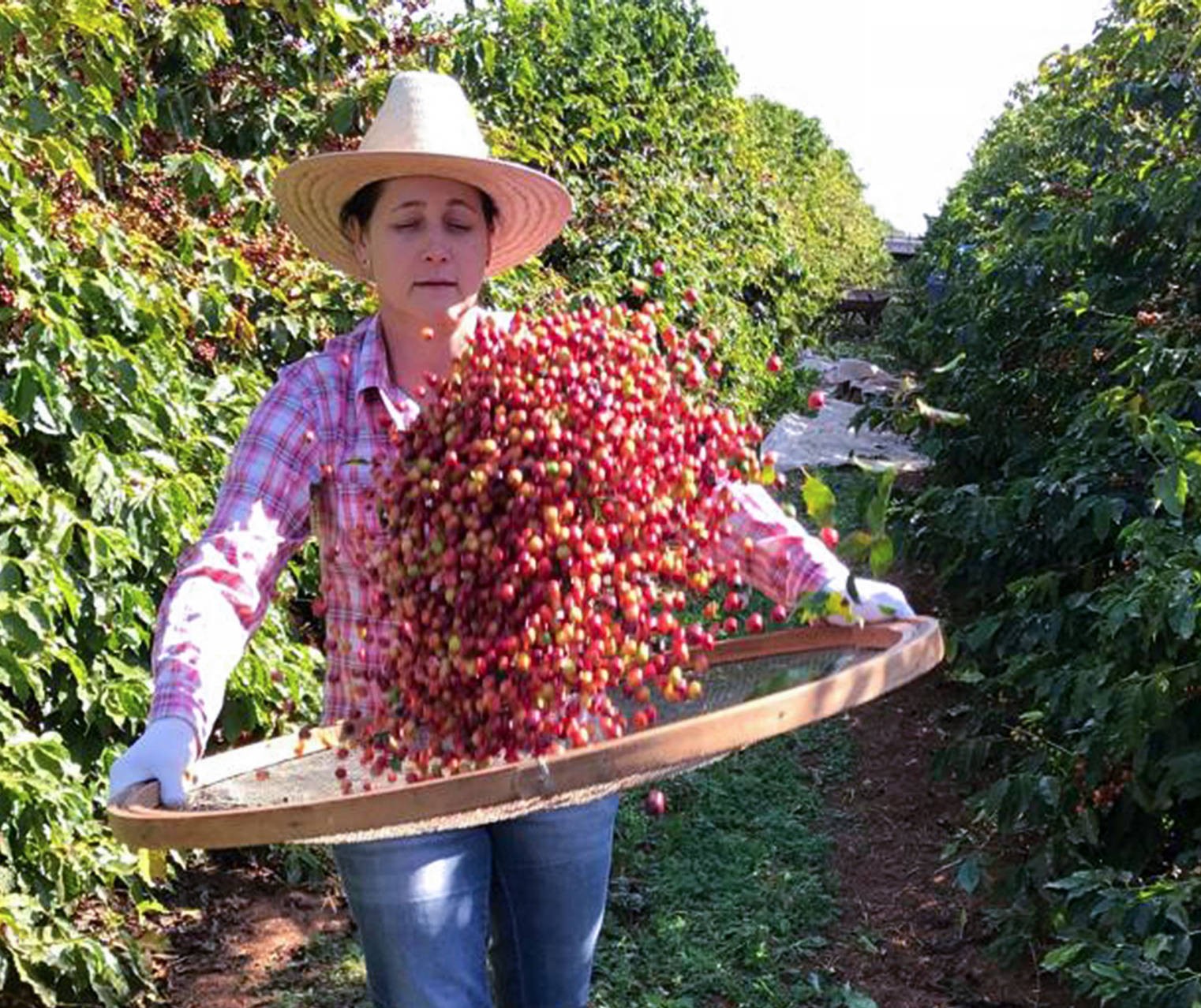 15 de outubro: Dia Internacional da Mulher Rural