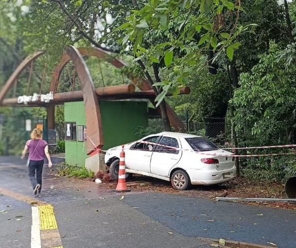 Motorista embriagado derruba semáforo e invade entrada do Parque do Ingá