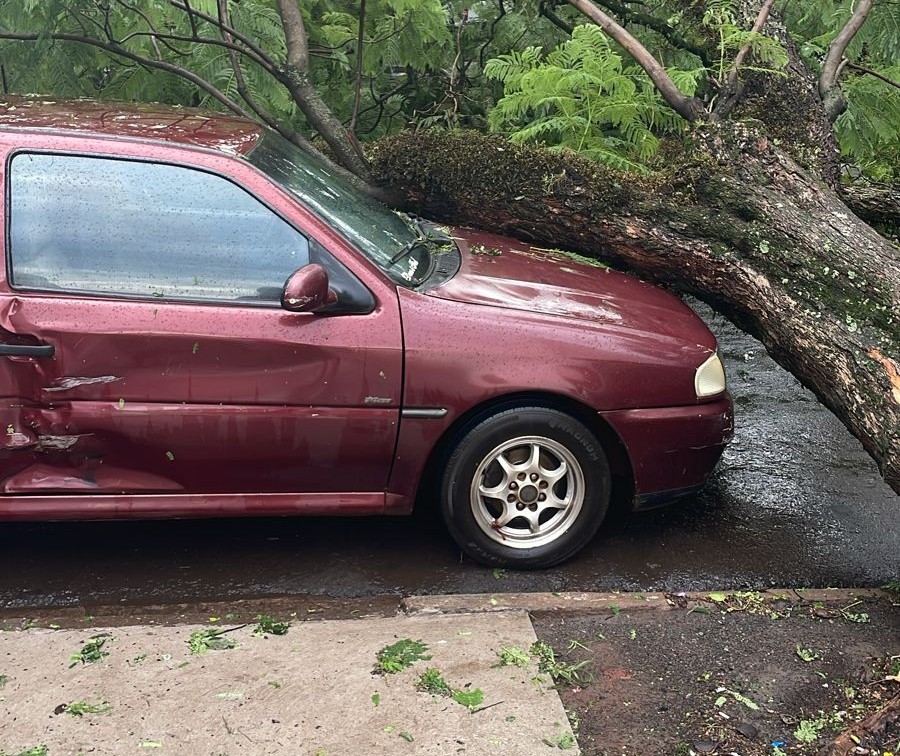 Novo temporal atinge Maringá e deixa mais estragos. Os ventos chegaram a 75,6 km/h, segundo o Simepar