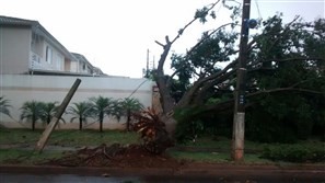 Ventos fortes de 90 km/h provocam estragos em Maringá