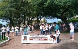 Manifestantes vão às ruas pedir punição rigorosa para quem maltrata animais