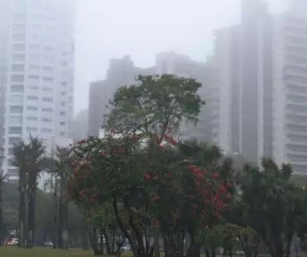 Cidades da região de Maringá registram dia mais frio do ano