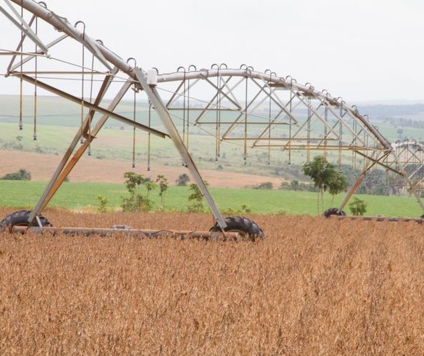 Conab anuncia garantia de fornecimento de fertilizantes pela Rússia