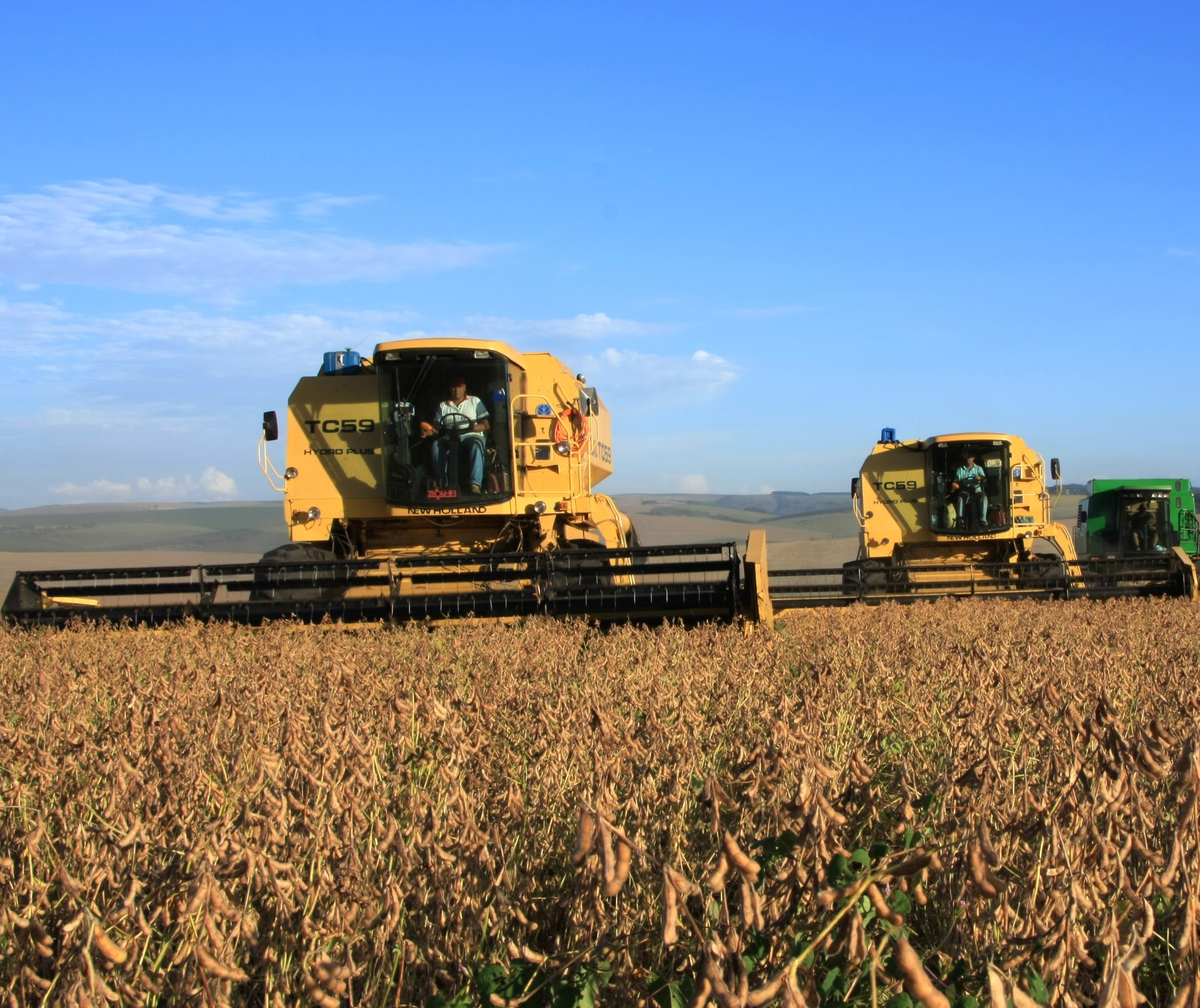 Agropecuária do Paraná em 2017 teve o melhor desempenho em quatro anos