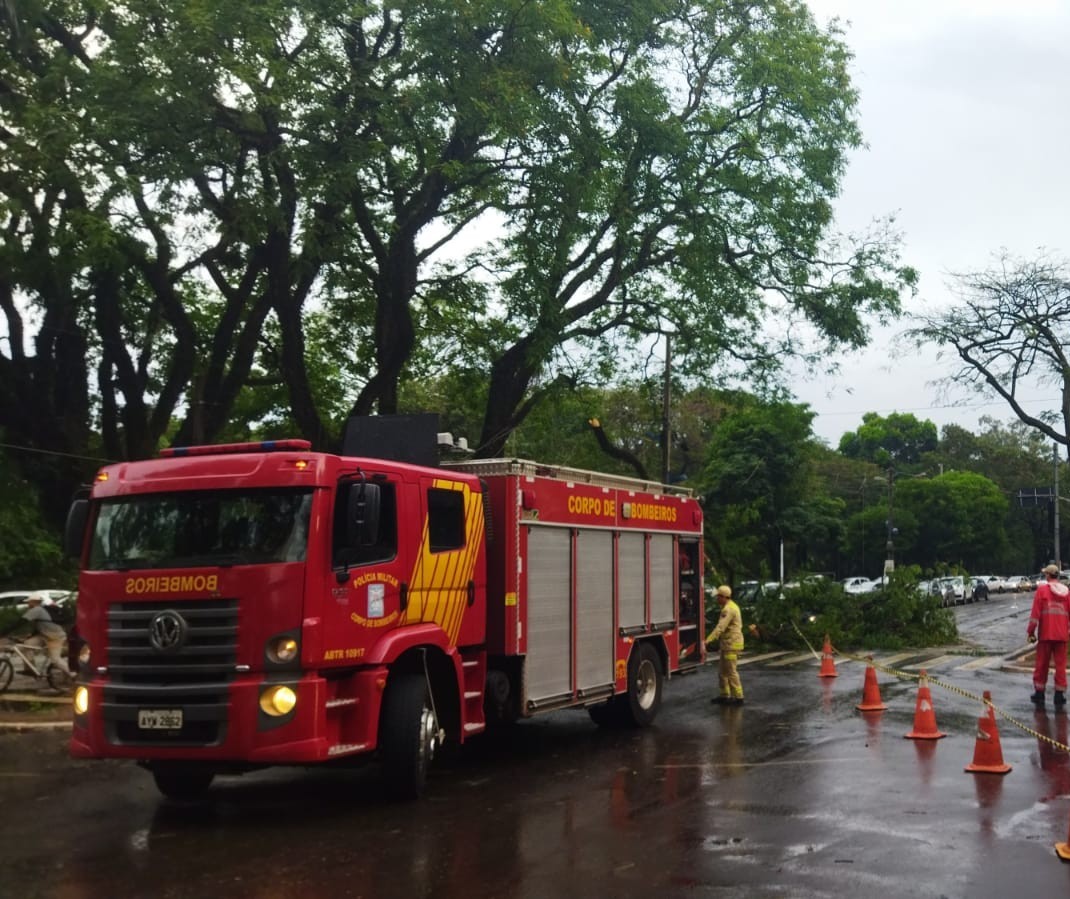 110 pessoas foram atingidas por temporal em Maringá, diz Defesa Civil do Paraná