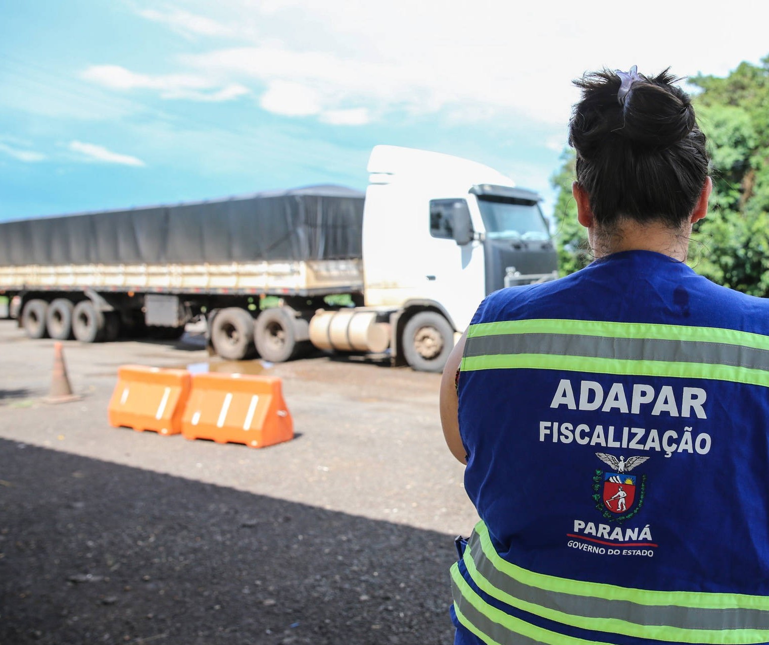 Governo do Paraná lança edital de concurso para reforçar defesa agropecuária