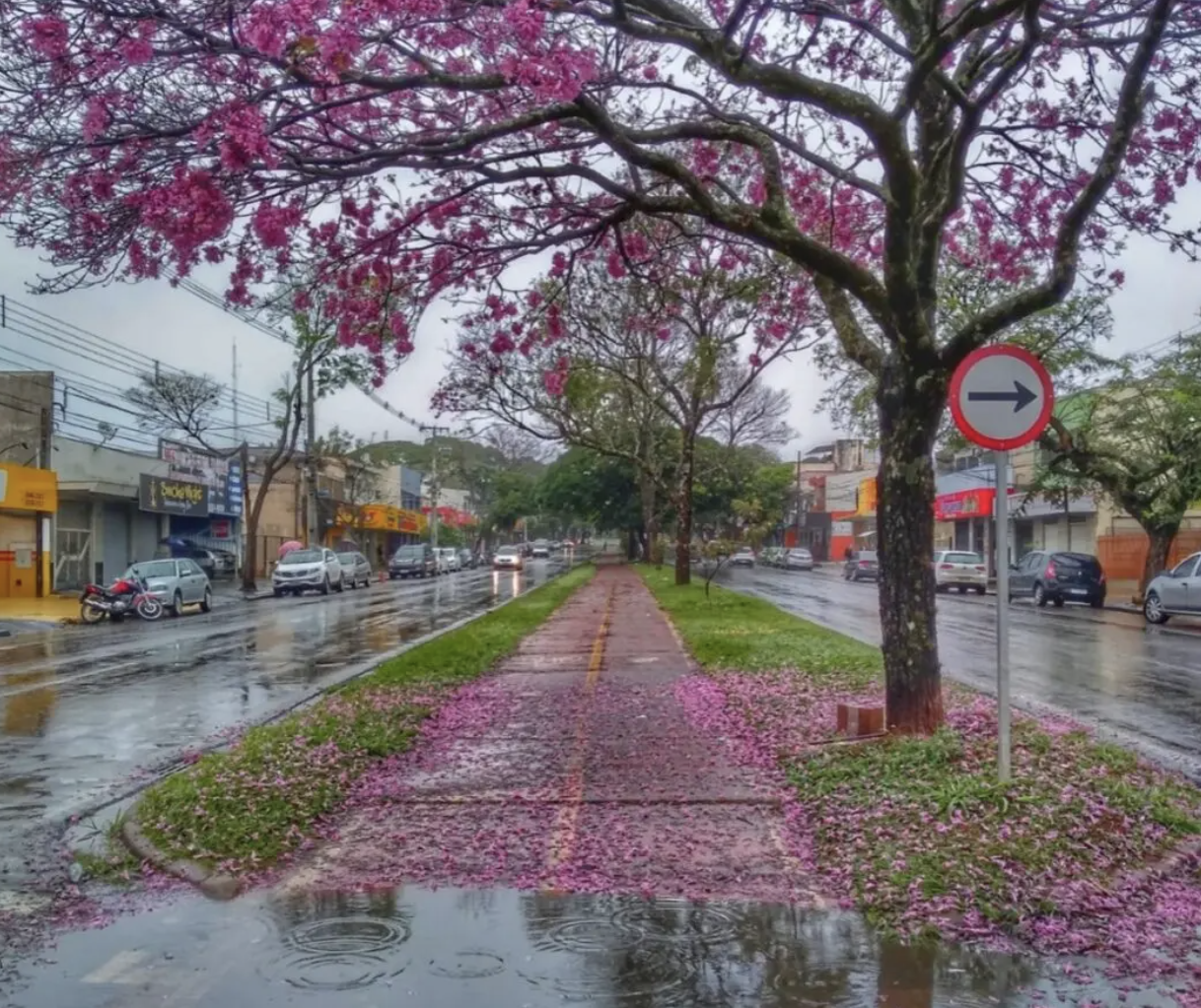 Veja os detalhes da previsão do tempo para este domingo pelo Estado