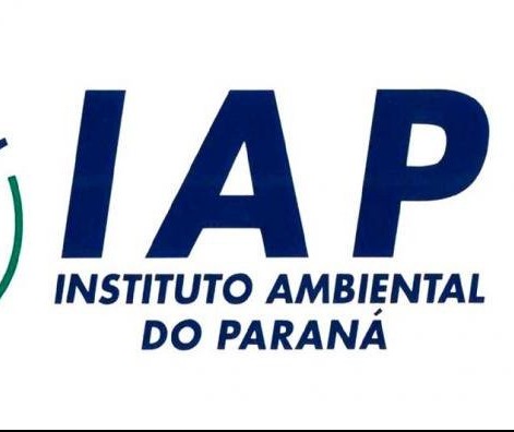 Efeitos da desburocratização do IAP já são percebidos