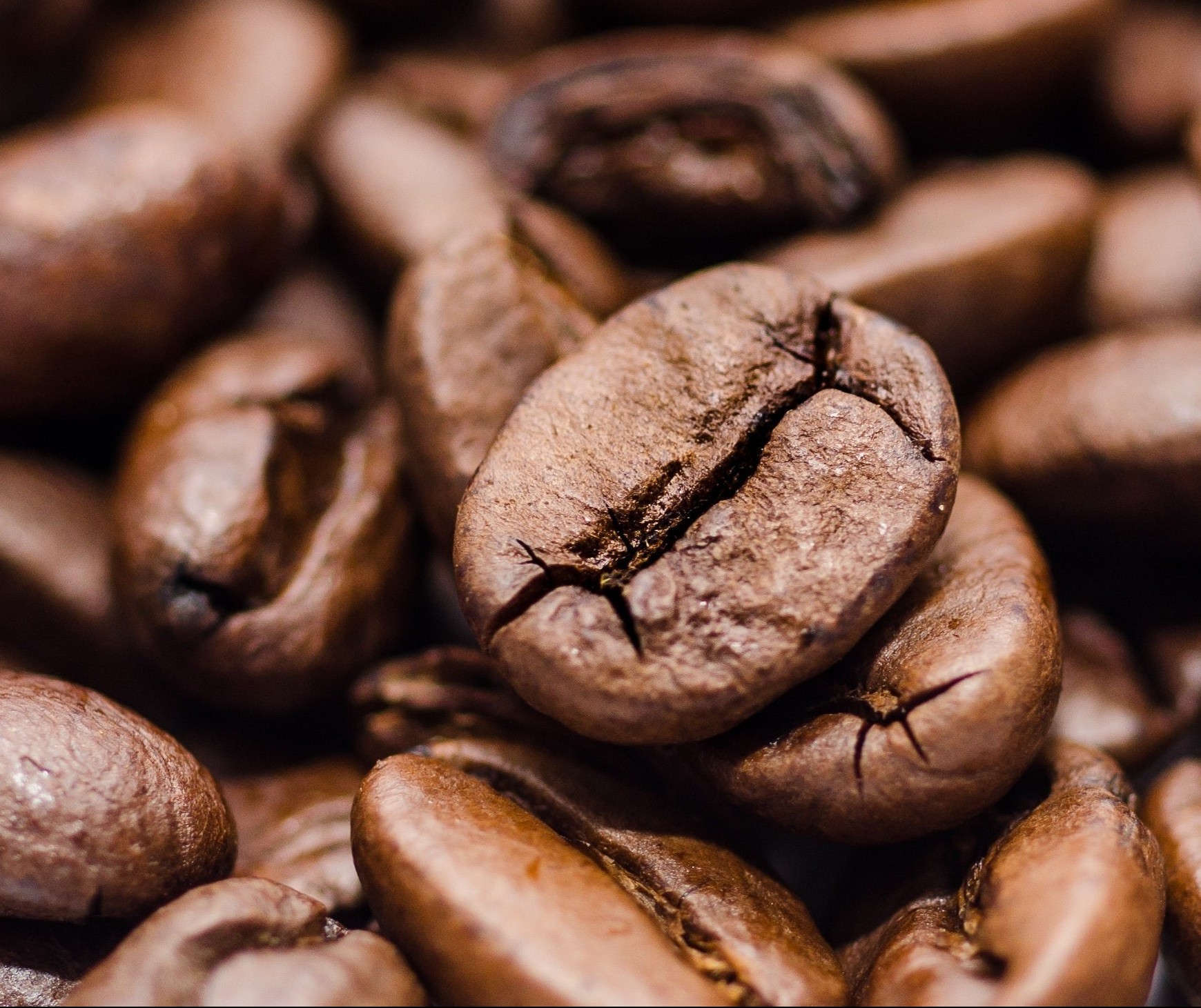 Café em coco custa R$ 6,75 o quilo em Maringá