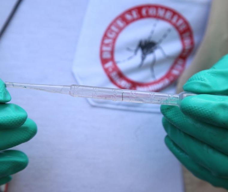 Dengue: 1º Lira do ano aponta risco médio de infestação em Maringá