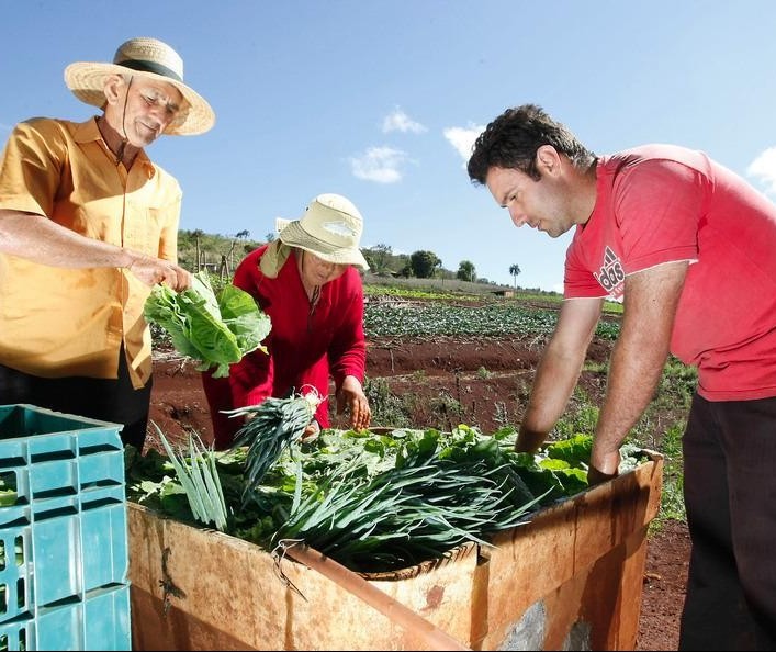 Agricultura familiar precisa ser preservada