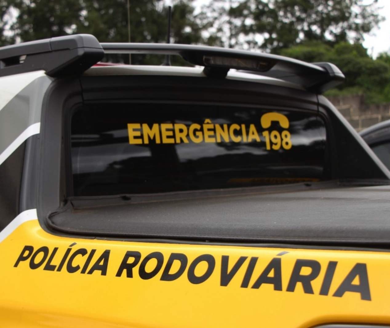 Pedestre é atropelado e morre na BR-376