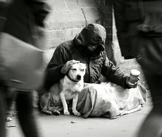 Pesquisa traduz em números a relação entre moradores de rua e animais de estimação