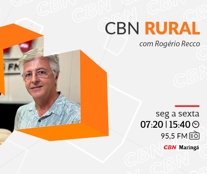 Cuidar do solo: fundamental para garantir bons resultados