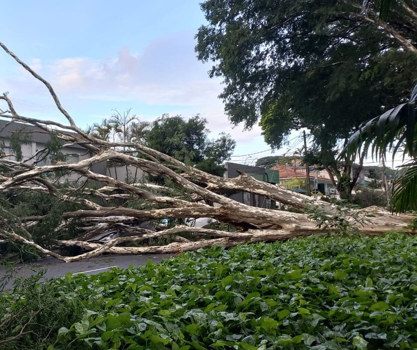 Prefeitura de Maringá divulga balanço parcial após temporal da quinta-feira (2)