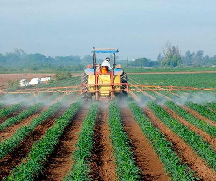 Crise no transporte rodoviário inflaciona preço de insumos e defensivos agrícolas