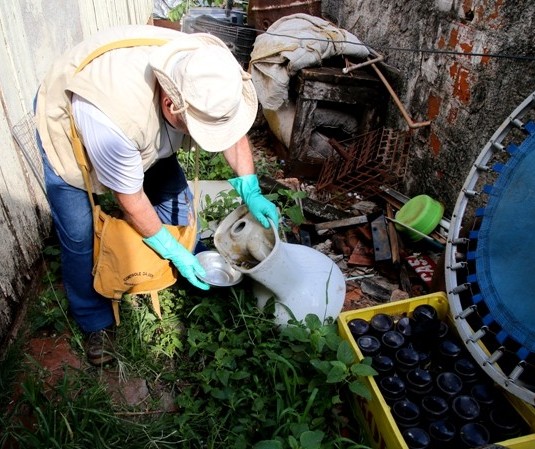 Lira aponta índice médio de infestação do Aedes aegypti de 0,7% em Maringá