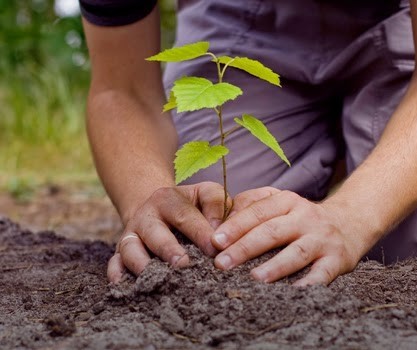 Empresa homenageia pioneiros com iniciativa sustentável