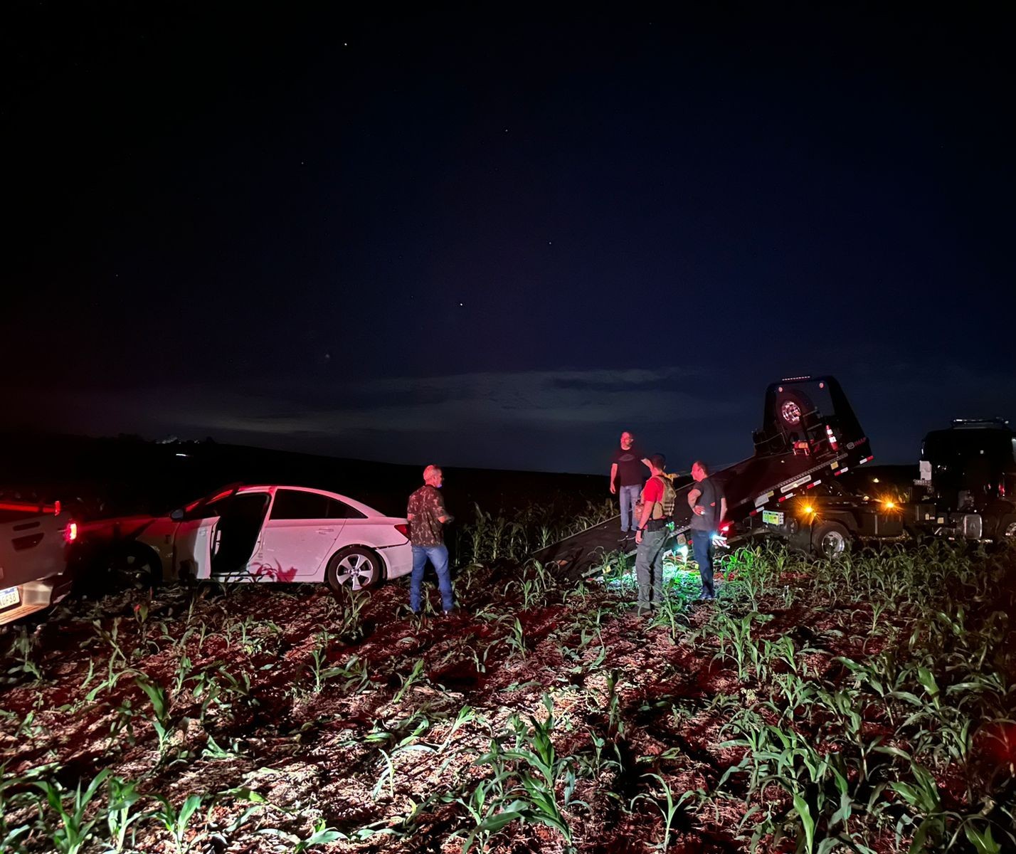 PF e RF apreendem mais de 400 kg de maconha e skunk