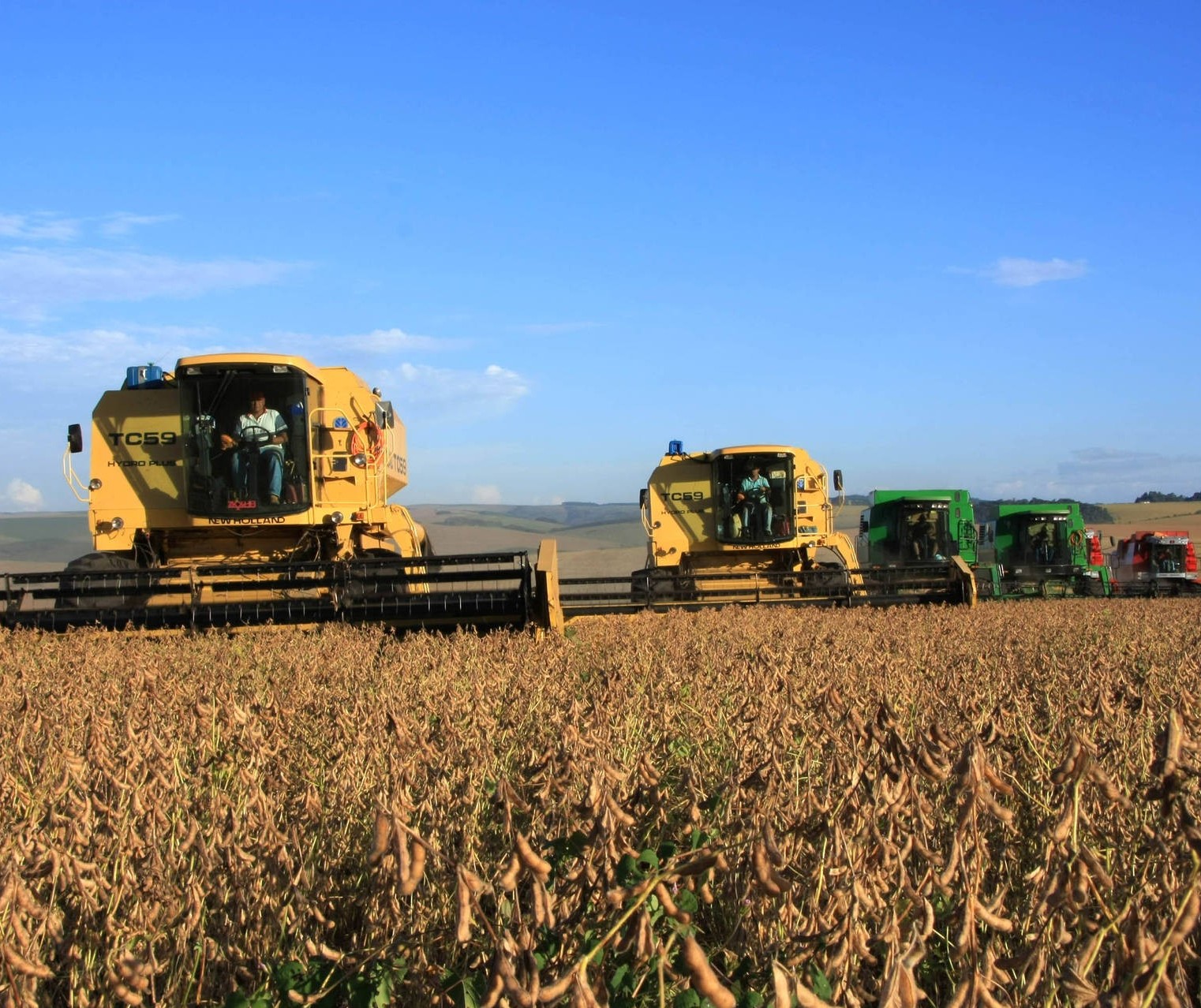 Queda de produtividade varia nas regiões Norte e Noroeste do Paraná 