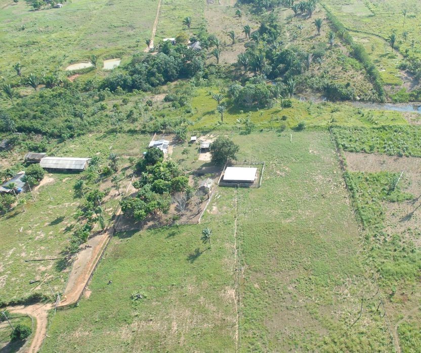 10 anos do novo Código Florestal Brasileiro