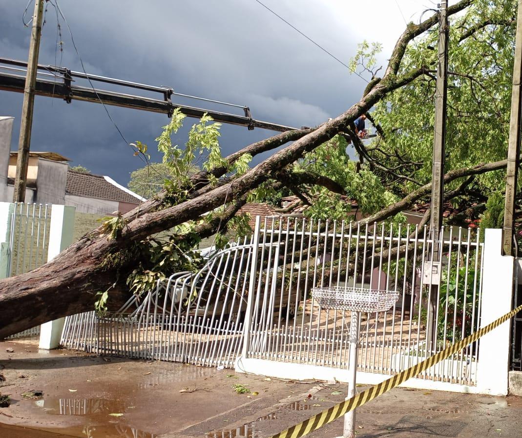 Temporal provoca estragos em Mandaguari