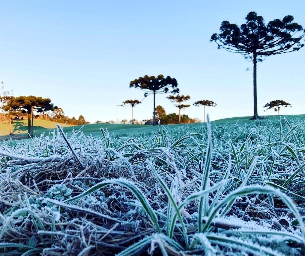 Inverno no Paraná deve ter poucas ondas de frio, dias sem chuva e geadas, prevê Simepar