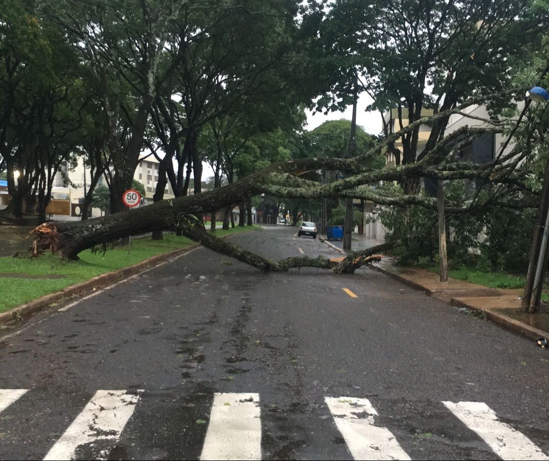 Defesa Civil Municipal recebeu mais de 40 chamados por causa de estragos da chuva 