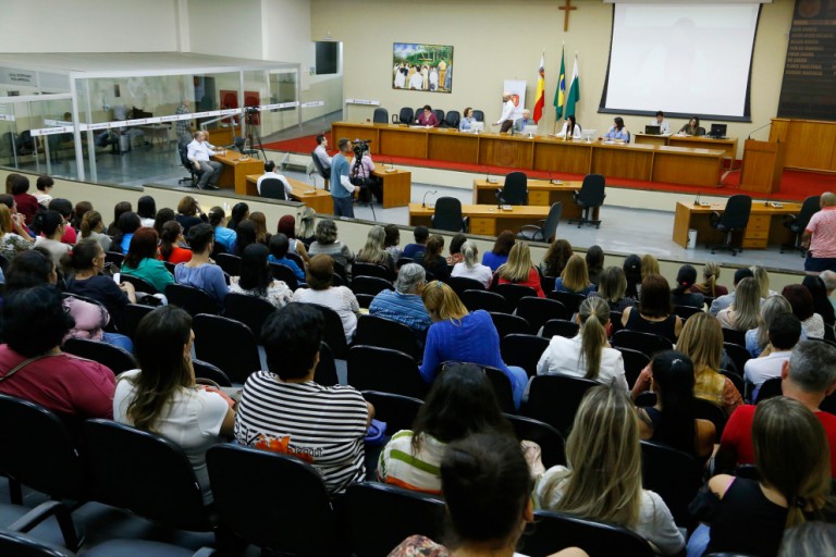 Questões polêmicas marcaram trabalhos na Câmara em 2017